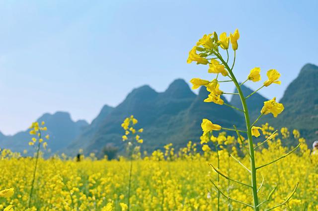 骑行路线