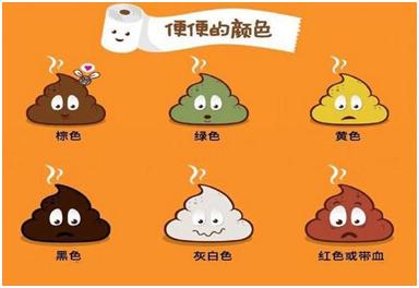 每次排便“2 条香蕉”的量才健康！医师：排便4原则最好都符合