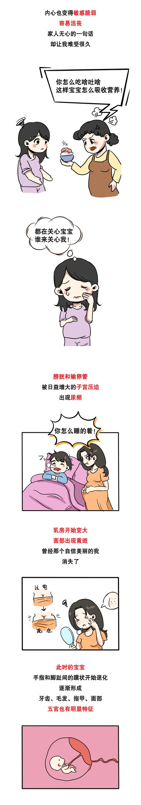 女性怀胎10月身体变化过程揭秘！宝宝和妈妈都一起经历了什么？