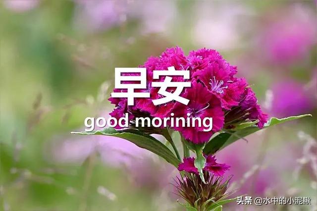 抖音最火的励志早安语录说说 越读越给力