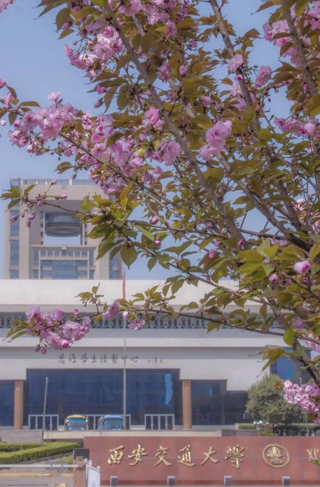正苗启德励志学校(正苗启德特训学校怎么样)(图2)