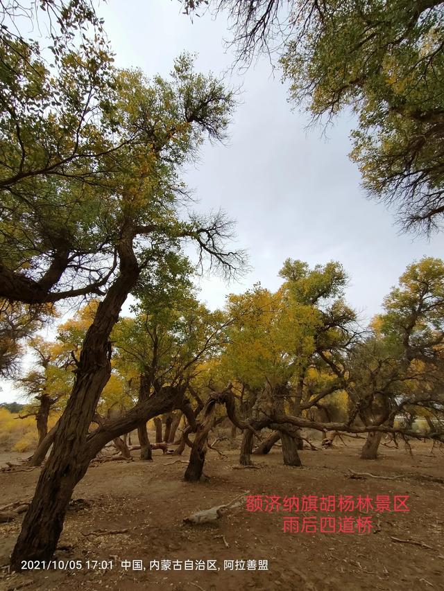 西行漫記之10月5日內蒙古篇