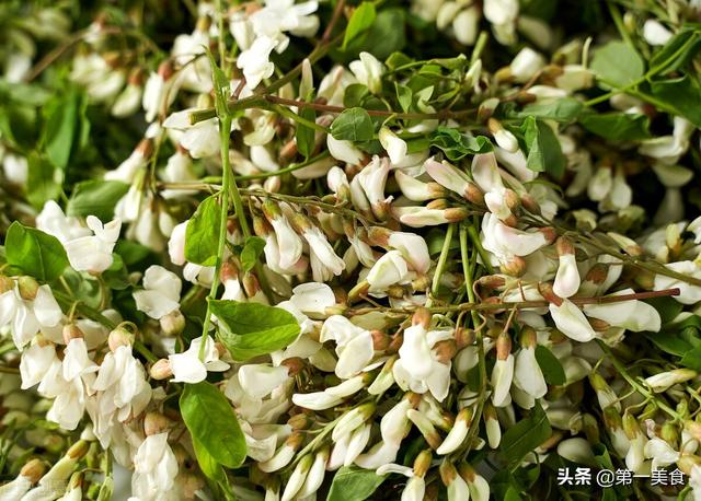 清明前后，必吃的“1花2芽3野菜”！养肝祛湿、清热降火，正应季