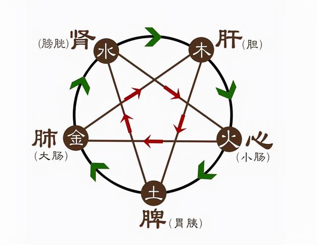 心老失眠，肝老易怒，肾老尿频…养生，别让五脏先老