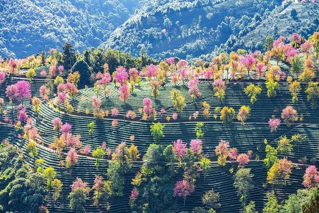 冬天旅游