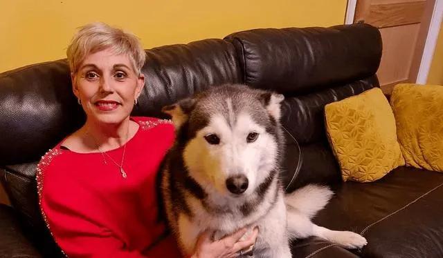 搜救犬有多厉害？为什么要让它参与东航MU5735搜救工作呢？