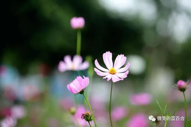 夏，如约而至；安，顺时而归