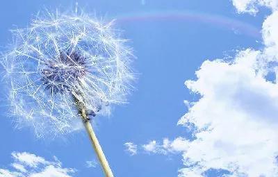 作为父母，我们有义务给孩子指条明路