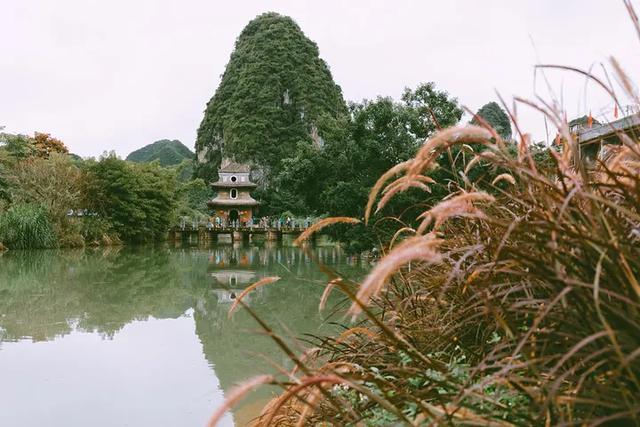 這個冬天，你應該去一趟廣西之崇左玉林靖西
