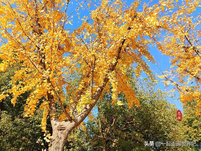 實拍安徽博物院，發現：安徽的寶貝真多