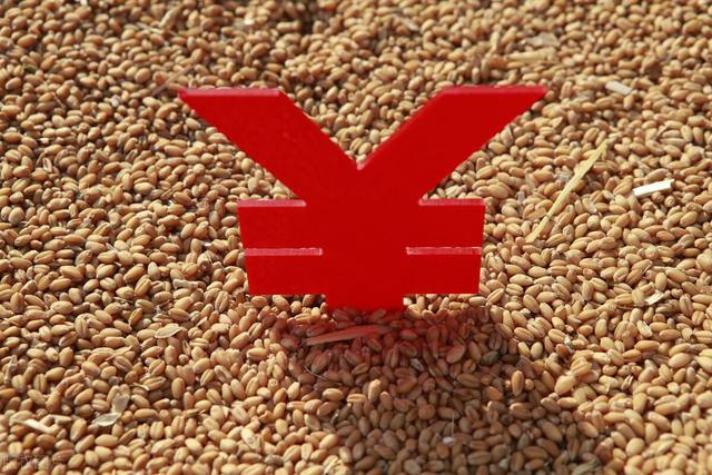 粮价预警：“麦强稻弱”，玉米上涨提前“爆发”？2022年粮价预测