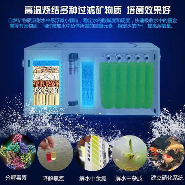 鱼池转鼓过滤机怎么样