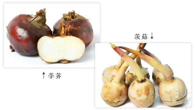 大雪，十一月节。大者，盛也。至此而雪盛矣