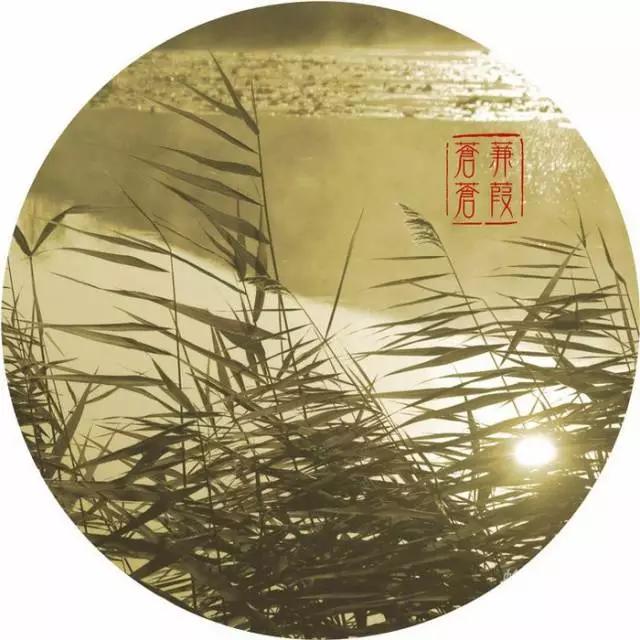 莫言：看别人的世界，品自己的人生!