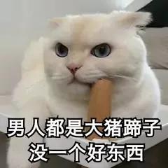 男人大猪蹄子什么意思