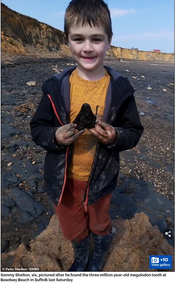來自300萬年前！英國6歲小學生在海灘發現史前巨齒鲨牙齒