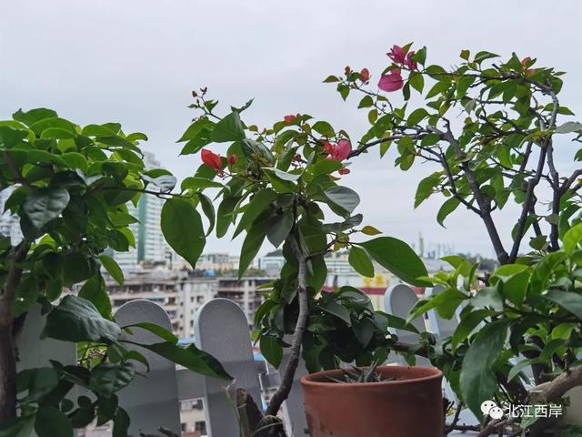 五一劳动节日记