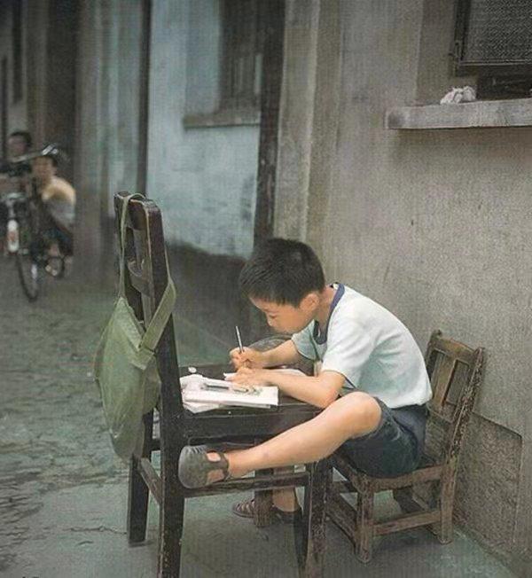 爱孩子是母鸡都会做的事，我们除了爱还应学会教