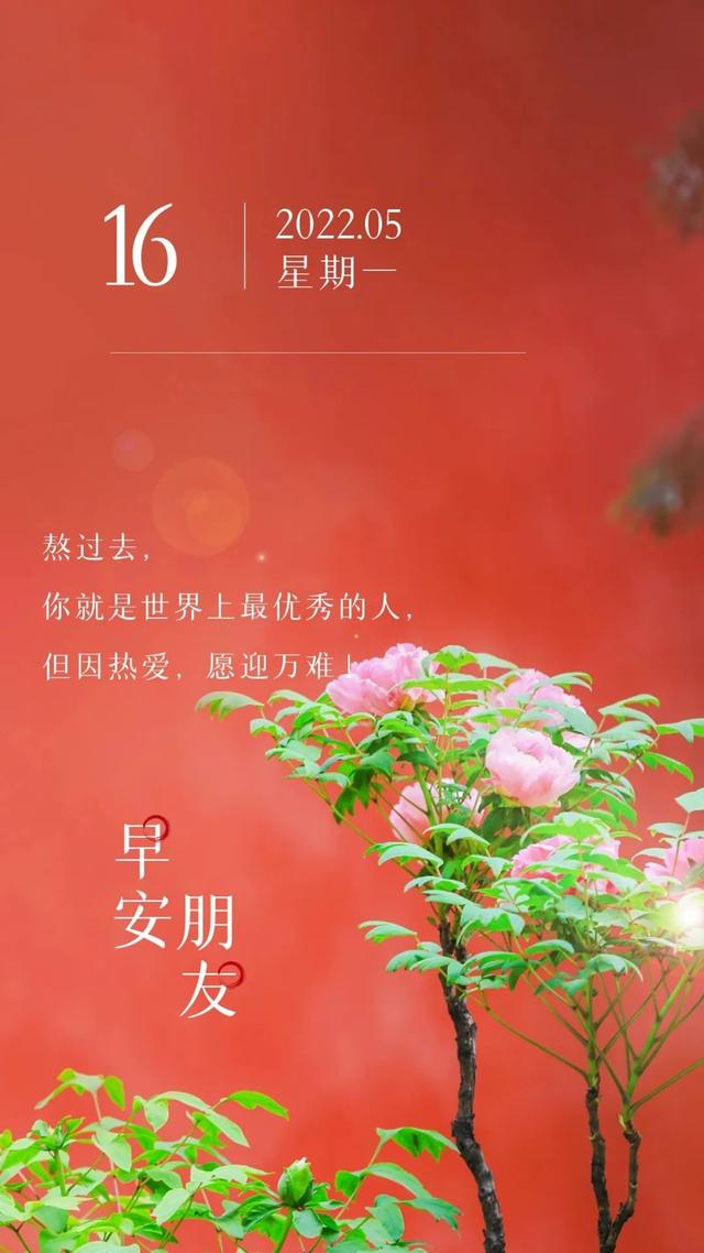 5月16日早安你好 | 朝着阳光出发吧