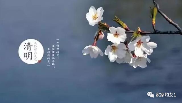 二十四节气灸｜清明艾灸，除湿气，发阳气，调达肝胆，强健脾胃