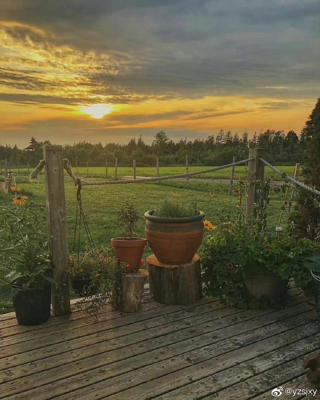 [万福云关键词自动回复]，微信打字出现的小动物有哪些