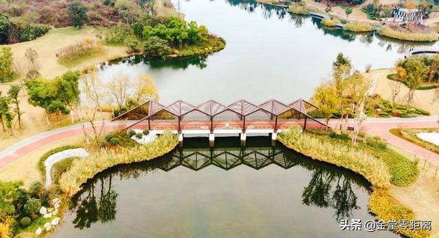 金堂光霧山！私藏在這處公園裏的冬日幻境