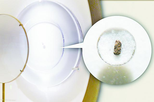 制砂机磨盘哪里卖