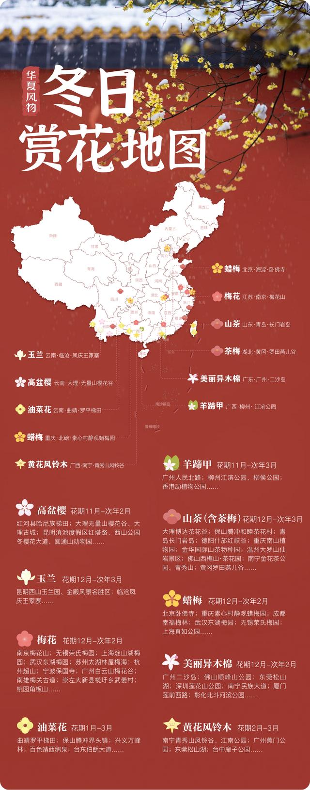 誰說春天才有花看？這份中國冬日賞花指南請查收