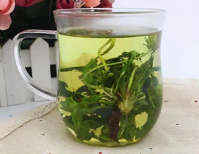 中药又立功？蒲公英可消灭98%癌细胞、消结节？看完您就清楚了