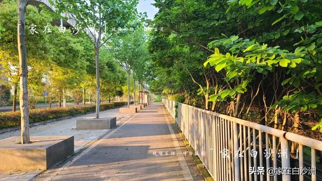 組圖 | 武漢地鐵5號線2期，沿途那些園林，逛一次少一次