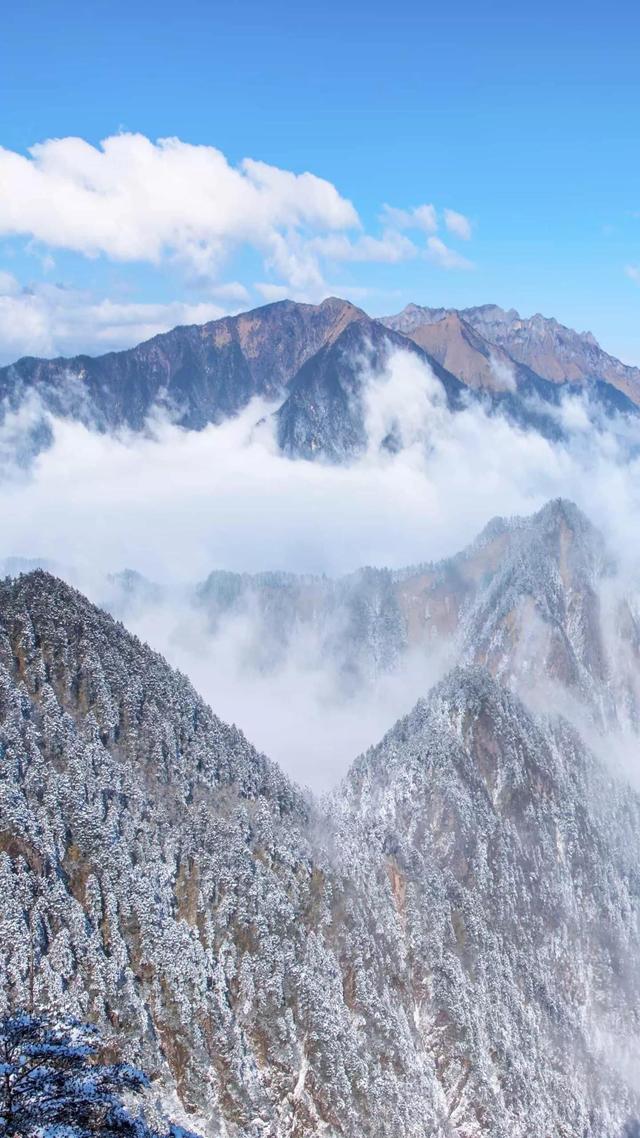 壮美 北京冬奥会 Zh中文网