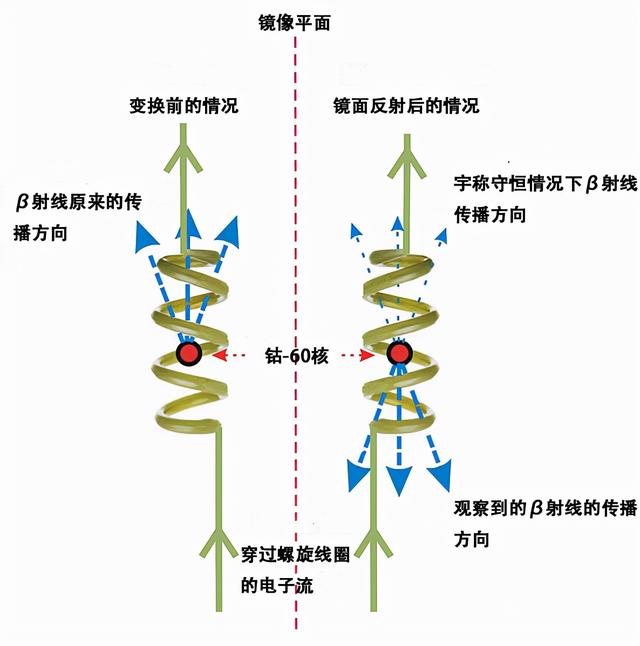 为什么物理学的对称守恒定律被一再打破？吴氏实验隐藏的秘密