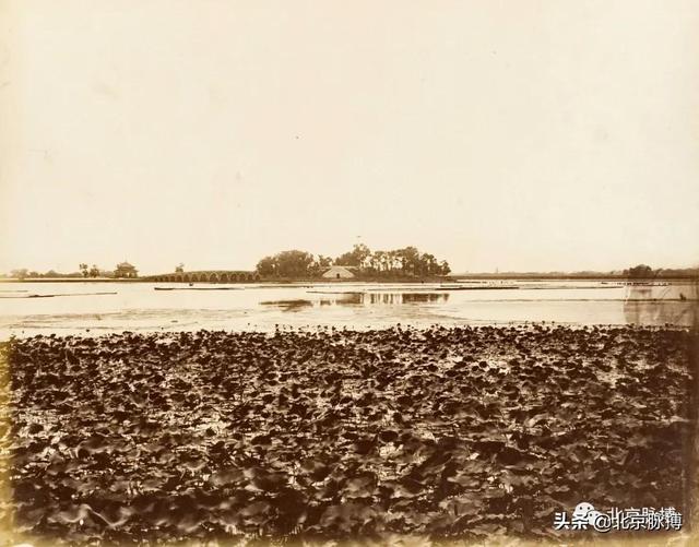 畫說北京丨頤和園裏的山河歲月
