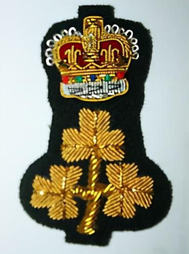 部队胸章（维和部队徽章）