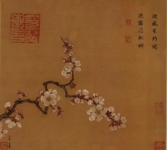 1月开什么花 1月开什么花（11月开什么花） 生活
