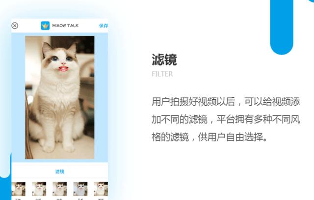 宠物视频APP开发，为拍摄宠物成长提供便利-郑州犇犇科技