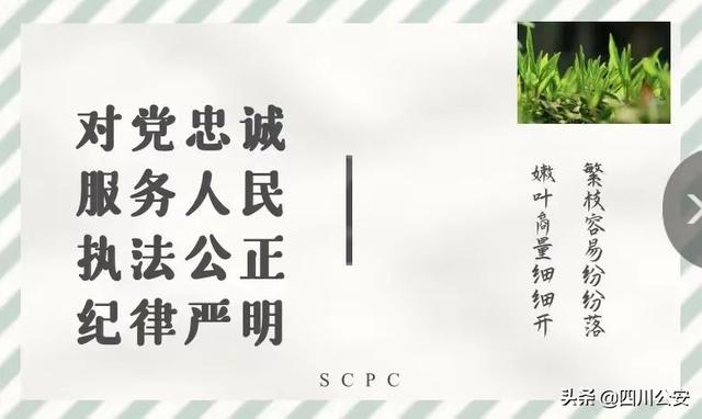 叮~请查收川警院专属明信片