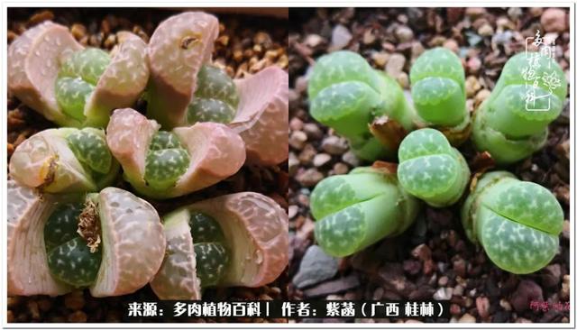 广西河沙洗砂机