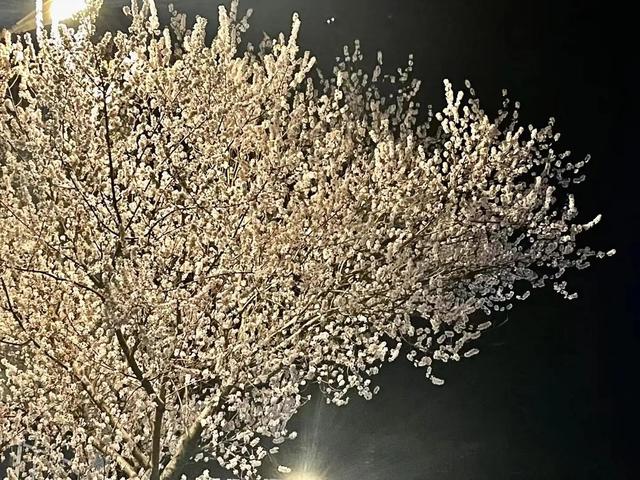 我们拒绝“这是为了你好”