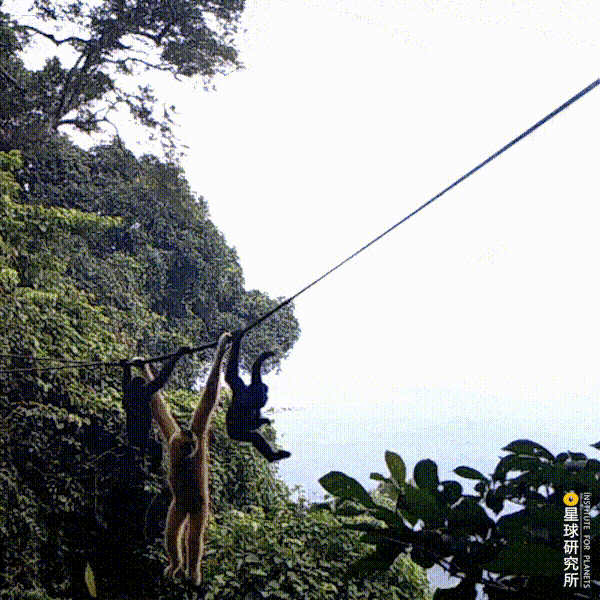 五指山破碎制砂机厂家