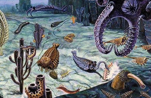 一个人活一亿年我活了一亿年