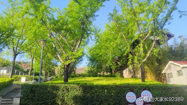 春归时，我把春天收藏