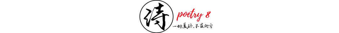 梦到白马是什么意思