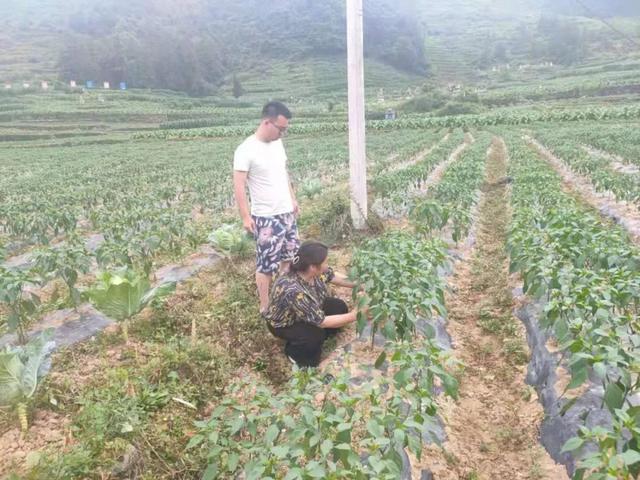 遵义大型木材破碎机