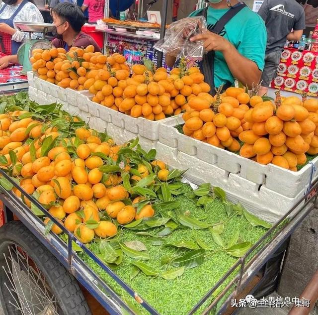 水果界新宠，枇杷芒是“芒果”还是“枇杷”？3