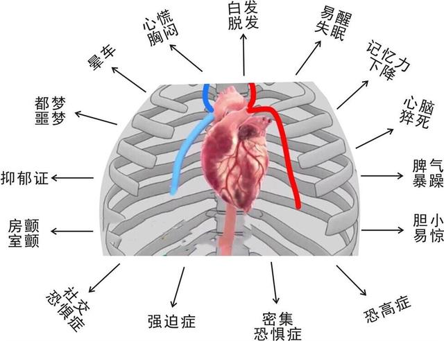 为什么我们一直都不建议营养师学中医理论呢？