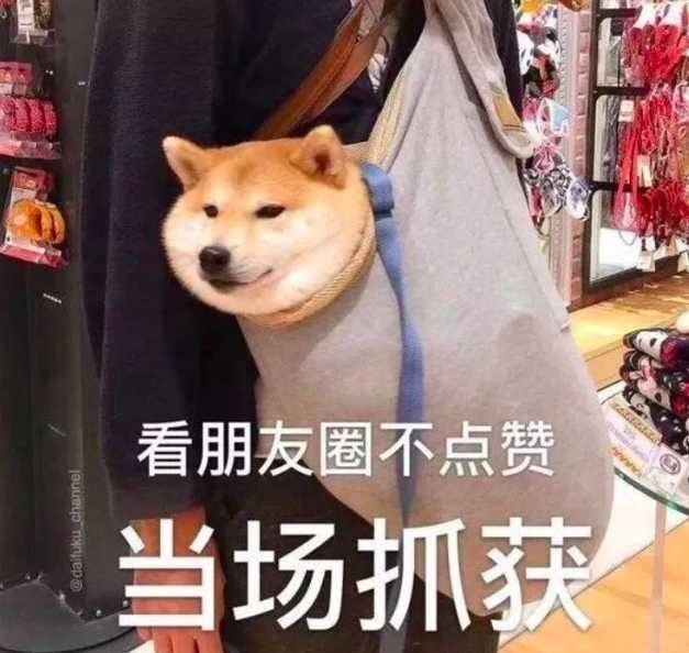 今日份沙雕朋友圈背景图，请查收