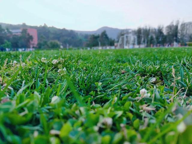 抄书第3天：活出自己的风格，不为谁而活