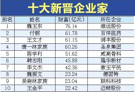 山东大型二手自动冲洗压滤机