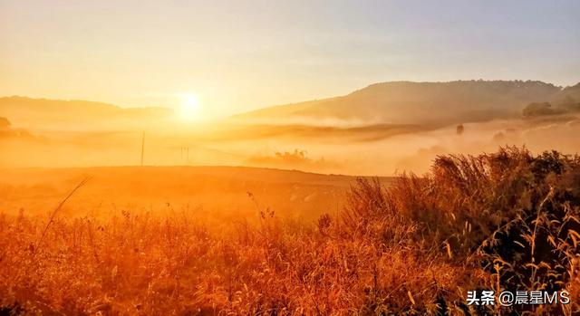 成长与蜕变（9）尊重儿子的决定